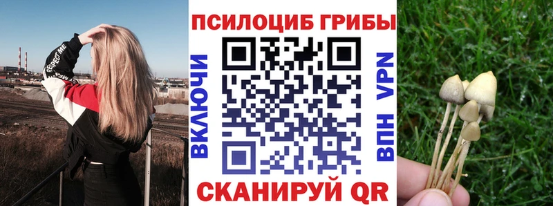 маркетплейс клад  Курганинск  Псилоцибиновые грибы Psilocybine cubensis 